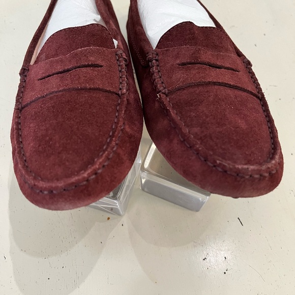 Authentic Tods - Picture 3 of 6